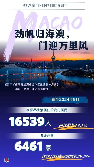 2024年澳门正版免费|探寻幸运密码与生活智慧_银版.1.527