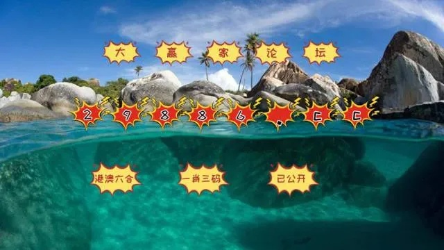 澳门天天六开彩正版澳门|分析与解释成语的收益与意义_智慧版Meituan.6.998