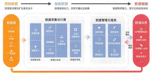 2024澳门彩先知|全面数据解释落实_粉丝版7.113