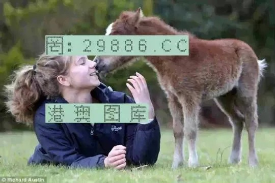 澳门平特一肖100%准资特色|探索城市隐秘角落的魅力_初级版.4.893