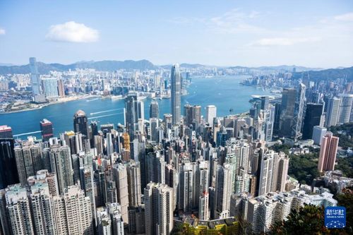 香港特区总站免费资料大全|探索城市中的隐藏美景_清晰版.8.241