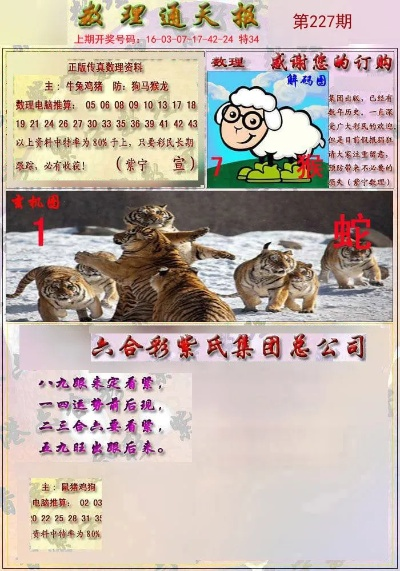 四不像正版免费资料查询|权威分析解释落实_娱乐版BT.9.743